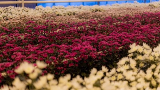 � ��������� ���� ����� ���������� ����� 8 ��� ��������� � ���