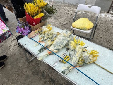 �������� ���������� �� ������ ������