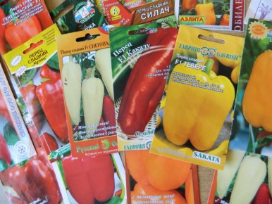 ������ �� ������ ������ � ����������: ��� ����� ������