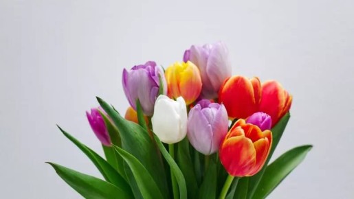 ���������� ����������, ������� ������ ��������� �� ������� � 8 �����