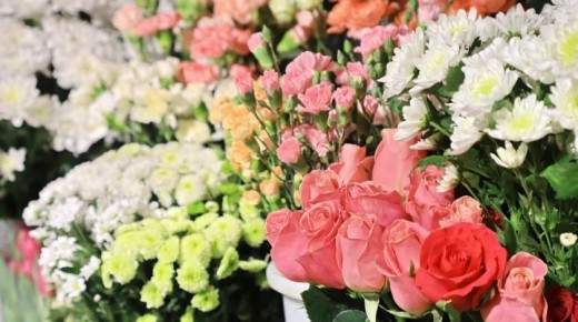 ������ ������� ��� ������� �� ������ � 8 �����