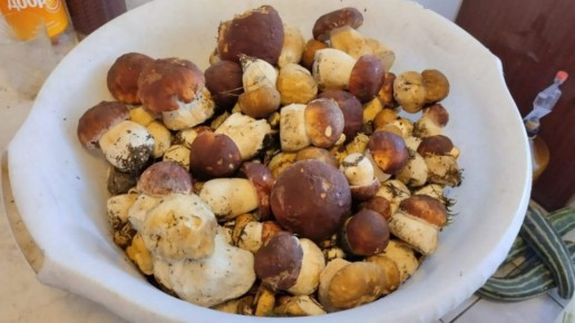 � ������������ ����� ������ � ����� ���������� ������� ���������� �����