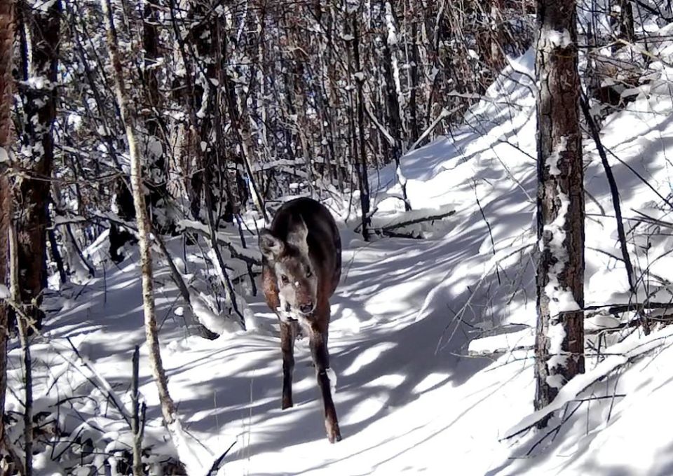 ������ ����� ������� ����������� ���������� ���������� �����������