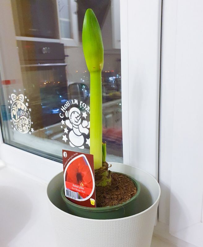 ��������, �������� �� ��������� ����� �������� � ����� ����