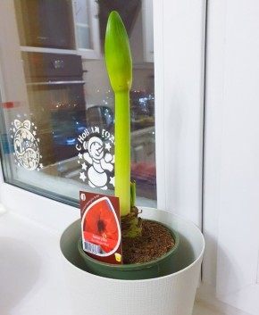 ��������, �������� �� ��������� ����� �������� � ����� ����