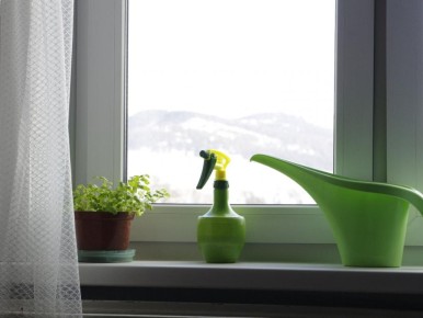 ��� ������������ ������������ ��� ������� ��� ������� �����?