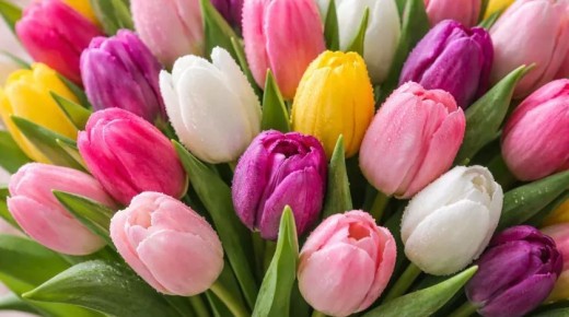 � ��������� ���� ������� ����� 79 ���� ��������� �� �����