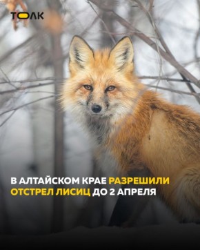 � ��������� ���� �������� ���������� �� ������� �����