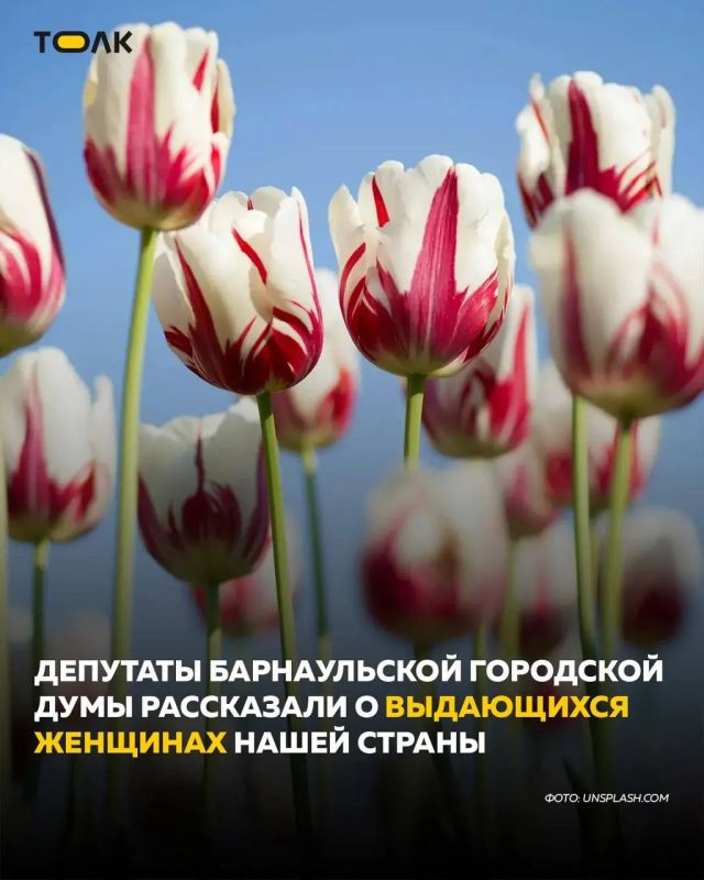 ����������� ��� ������������ ��������: �������� ��� ���������� � ���������� ��������