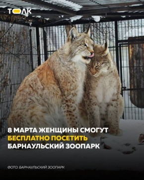 �������, 8 �����, ���� � ������������ ������� ����� ���������� ��� ������