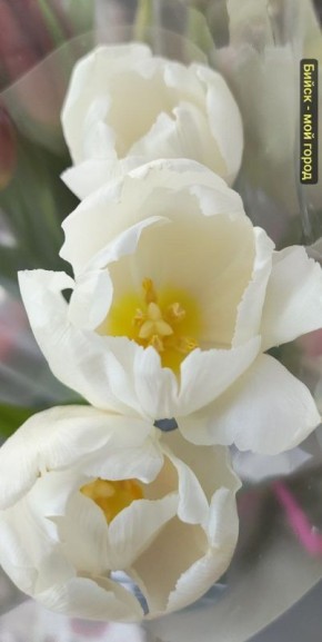 ����� ����, �� ������, ��� �� ������ � ���? ������ ���������! �������� - ���� ��� ����� ���������, ������������� � ����������� ��� ������