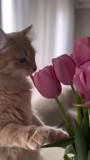 ������ ����������� ����!. ����������� � ������������� ������� ����