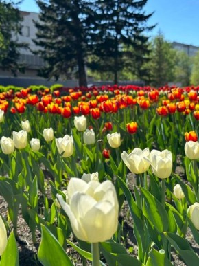 ������ ������: ������� ��������!. �������� ���������� ��� � ������������� ������� ����! ���� ���������� �������� �������� �������� � ������ ����