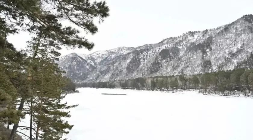 ������ ������� ��������� � ���������� ������������� �������� � ��������� ����