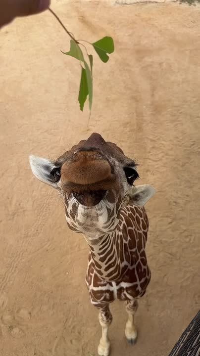 Доброе утро, Алтайский край!