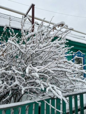 ������� ������ � ��������. �������, ���� � ��� ����������� ���������, ��� ������� ��� �� ���������� ���� �����? � ���!