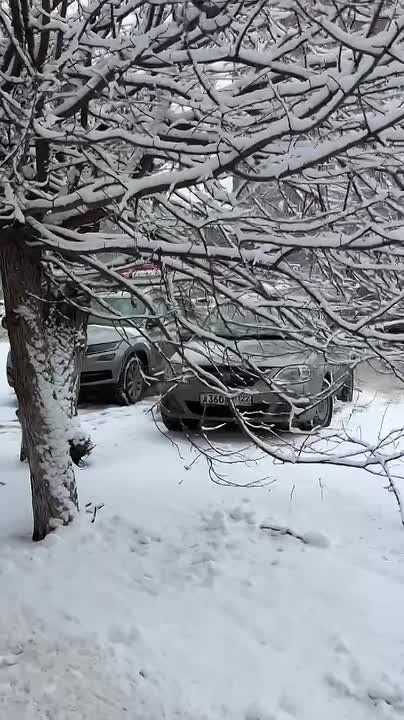 ����� � �������� ������ ������ ���������