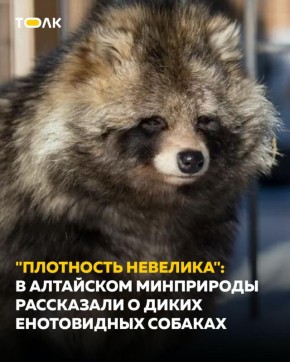 ����������� ������ �� ������������ ������, � ����� �������� ������ ��������� ������� ��� ���������