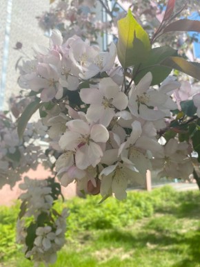 ��� �����. ������ ����, ��������� ����! ������� 24� � MAX