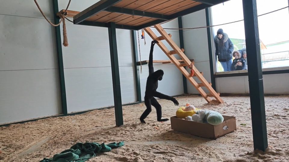 ������ ����� ��������������� �������� ������� 7-�����