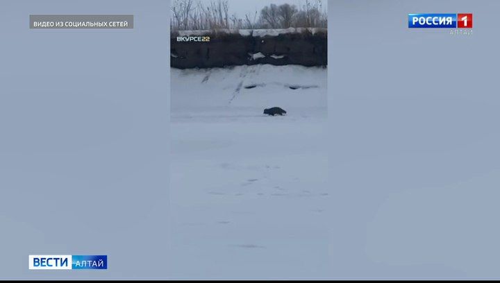 ����� �������� ��������� ������� ���������� ����