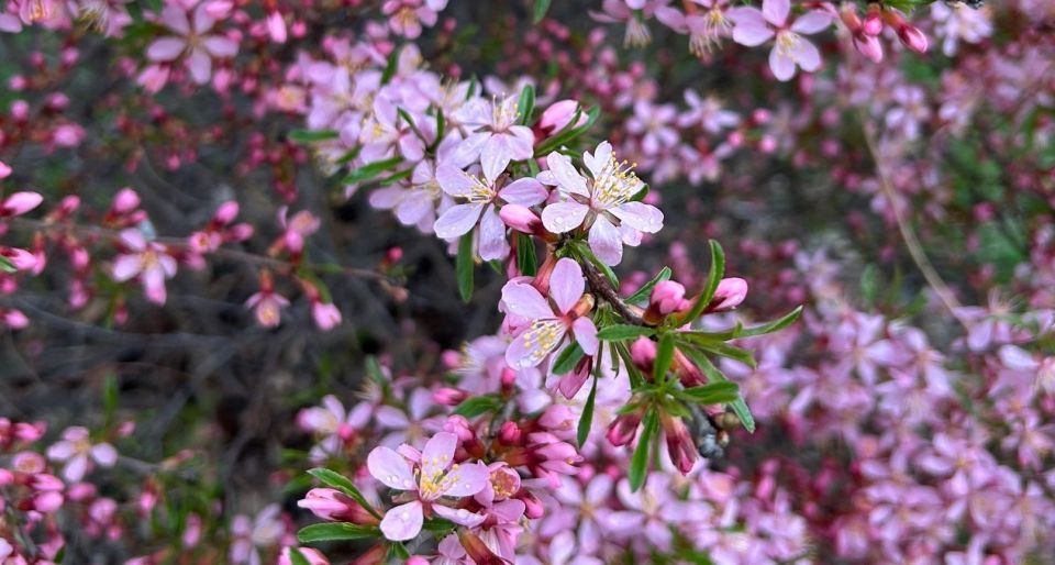 ������� �������� ������ ������� ������� �������� �������� ����