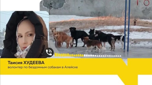 ��������� ������ ������ � ������ ������� �������