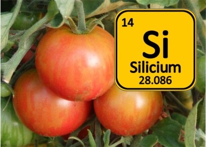 ������� � ����� ��������: ��� �� �������� ������ � �������� �� �������