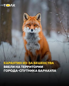 22-� ������ ��������� � 2026 ���� ������������� � ��������� ����