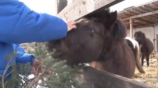 ����� "������� ����������" � ����� ������ ���������� ���������