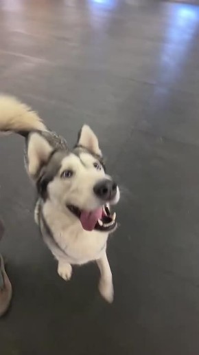 ������ ����, ��������� ����!�