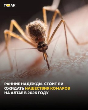 ������� �������������� ������� ������� �� �����