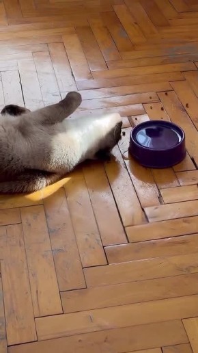 ������ ����, ��������� ����!