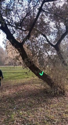 ������� ������� ������ ������� �� ���� ������� ��������