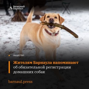 ���������� � ����������� ����� ������������ � ����� ��������� ��������������� ���������� �������� �������� � ���������� ����� �������� �����