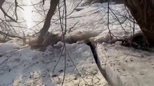 ���� ������� ���������� ��������� ����� � �����������, �������� ���