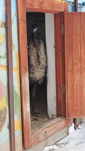 �� ������ � ����� ������ �� �������, �� �������� ������