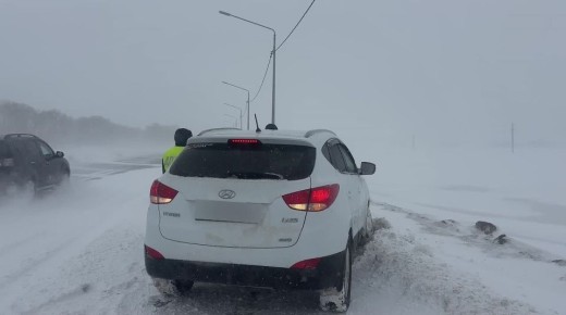 Сотрудники Госавтоинспекции города Бийска помогли автоледи выбраться из снежного плена