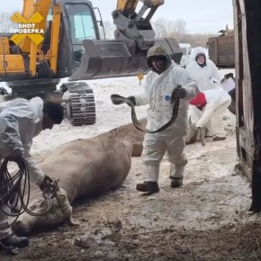 � ���������� �������� ������� ����� ����� ��� ����� ������ � ������� ��� �������� ���������