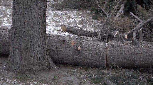 ��������� ������� ��������� ������� ������� ��������