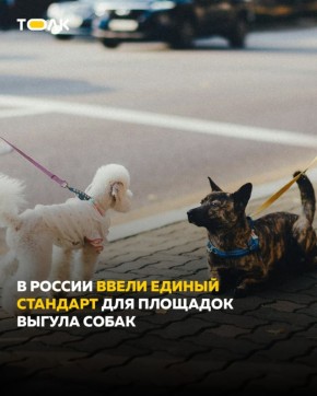 � ������ ������� ��������� ���� ��� �������� ������ �����