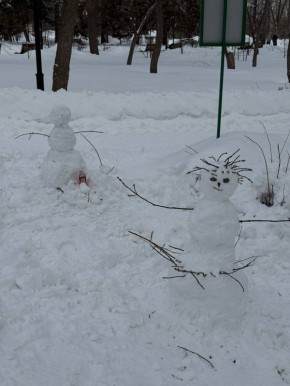 � ����� ������� ����� ���������� � � �������� ����� ������