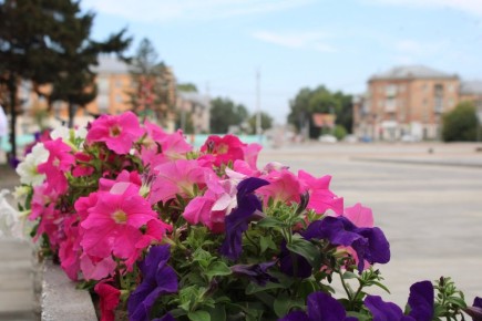 ����� 9,5 ������ ������ ������� ��������� ��������� �2026 ����