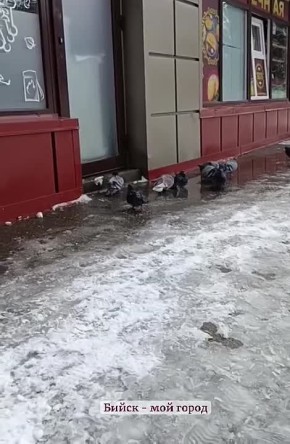 ������� ������. ������ ��������� � ������� ��� ���! ������, ����� ����� ��������� �����