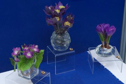 В Алтайском государственном краеведческом музее работает выставка «Фонды +. От Зимы до Осени». Там представлено около 70 работ, объединённых темой смены времён года В Алтайском государственном краеведческом музее работает выставка «Фонды +. От Зимы до Осени». Там представлено около 70 работ, объединённых темой смены времён года