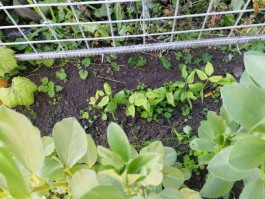 ����� � ������ ����� ���������� � ������, �������, ������, � �� � ������: 5 ����������� �������� � �������