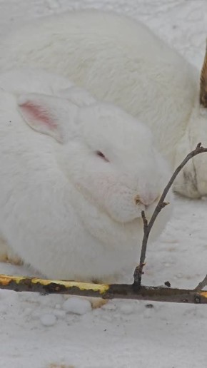 �����������? ��������� ��������! ����������, ��� ���� �������� �� ������������� ��������