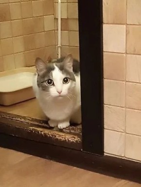 � ������ ���� ����� ��� �����, �������� ������� �����������