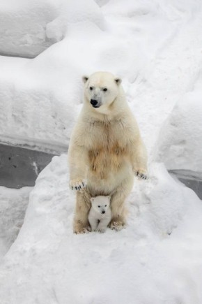 ������������� ������� ������� ������ �������� �������������� ������ ����������