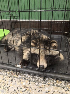 ������ ����������� ������ ������ ���������